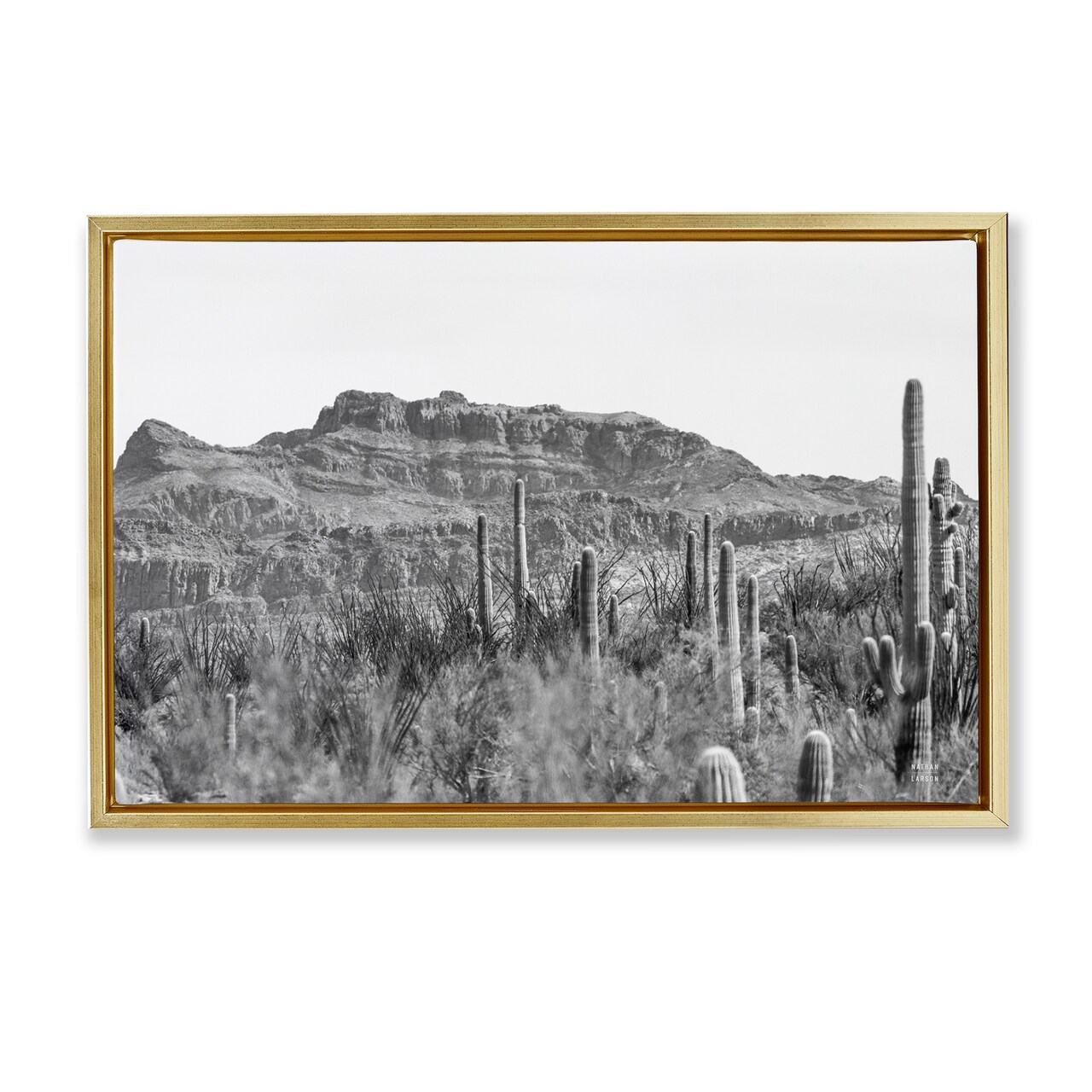 Stupell Industries American Borderlands Desertscape Framed Floater Canvas Wall Art Design by Nathan Larson
